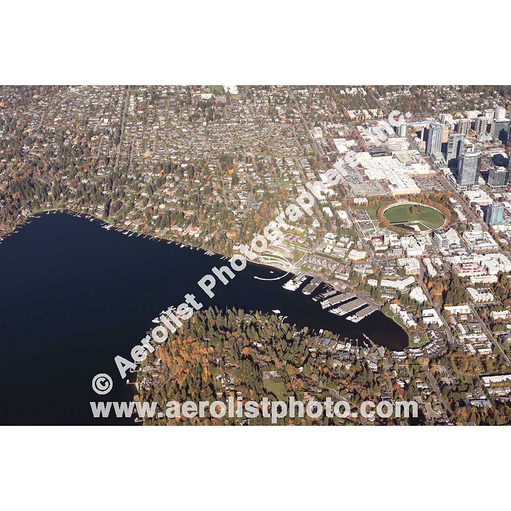 Bellevue - Downtown 2019