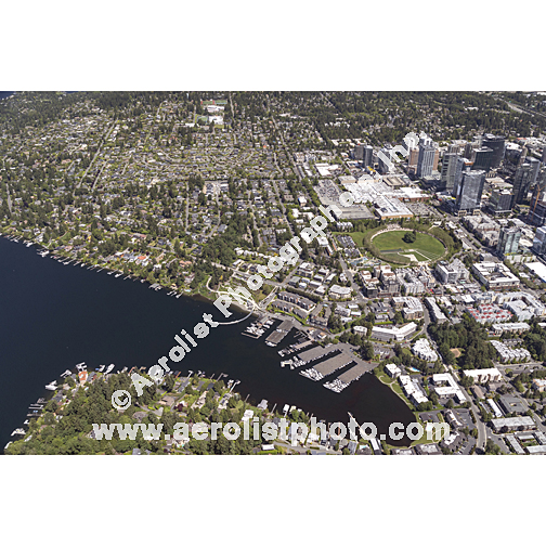 Bellevue - Downtown 2024