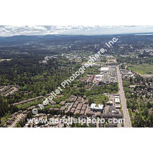 Bothell - Canyon Park 2016