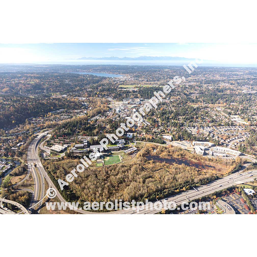 Bothell - Downtown 2019