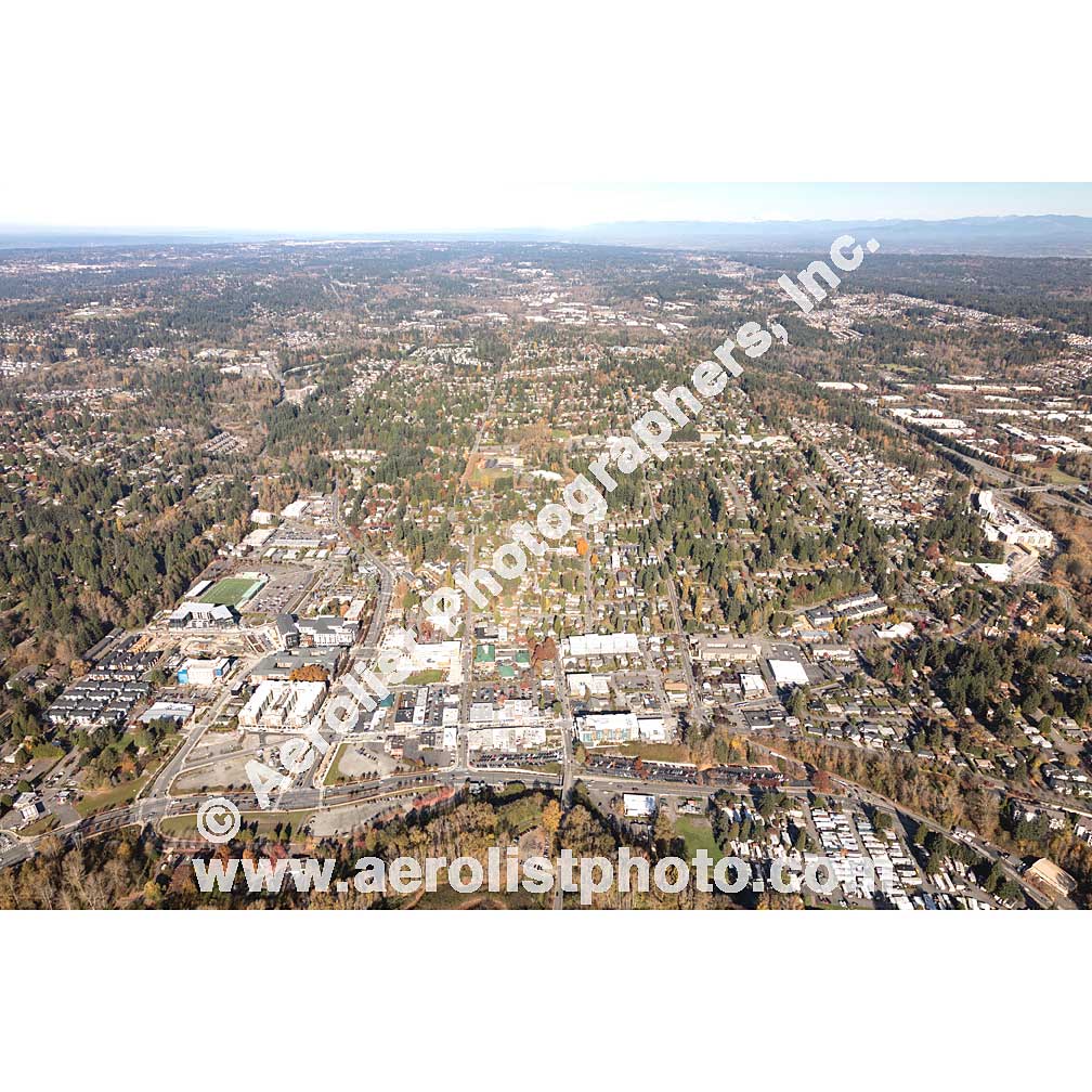 Bothell - Downtown 2019