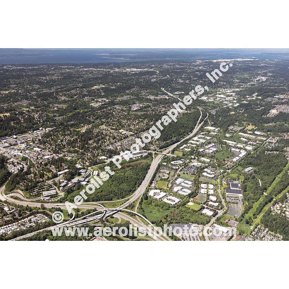 Bothell - Downtown 2020