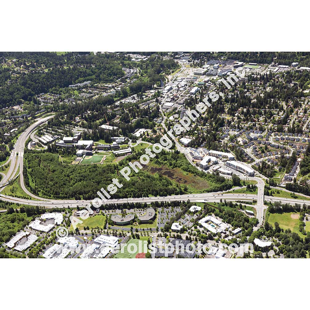 Bothell - Downtown 2020