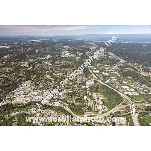 Bothell - Downtown 2020