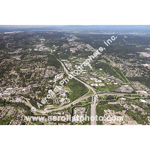 Bothell - Downtown 2020