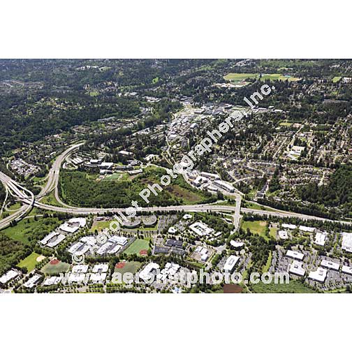 Bothell - Downtown 2020