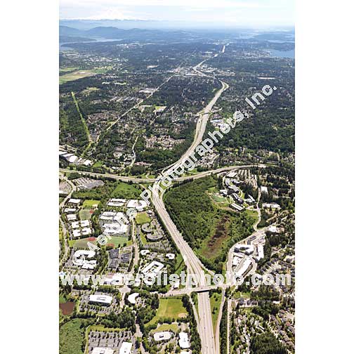 Bothell - Downtown 2020