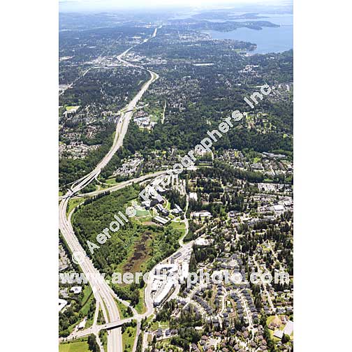 Bothell - Downtown 2020