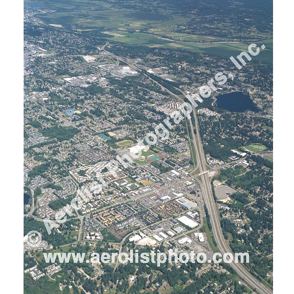 Everett Paine / Everett Mall 2001