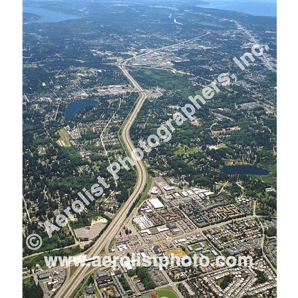 Everett Paine / Everett Mall 2001