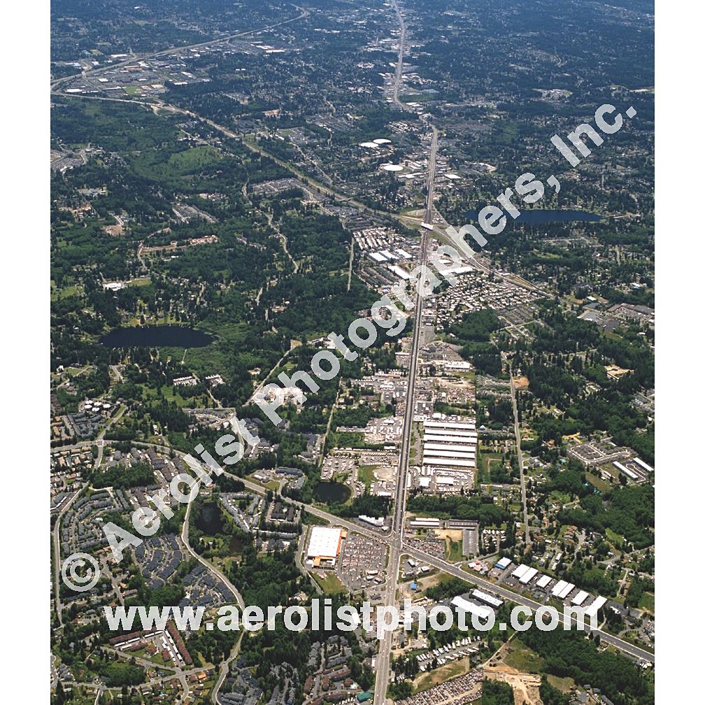 Everett Paine / Everett Mall 2001