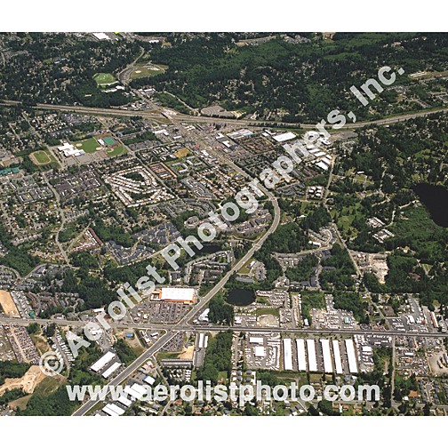 Everett Paine / Everett Mall 2001