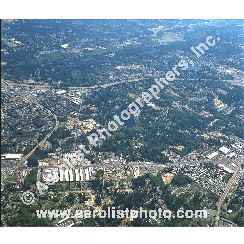 Everett Paine / Everett Mall 2002