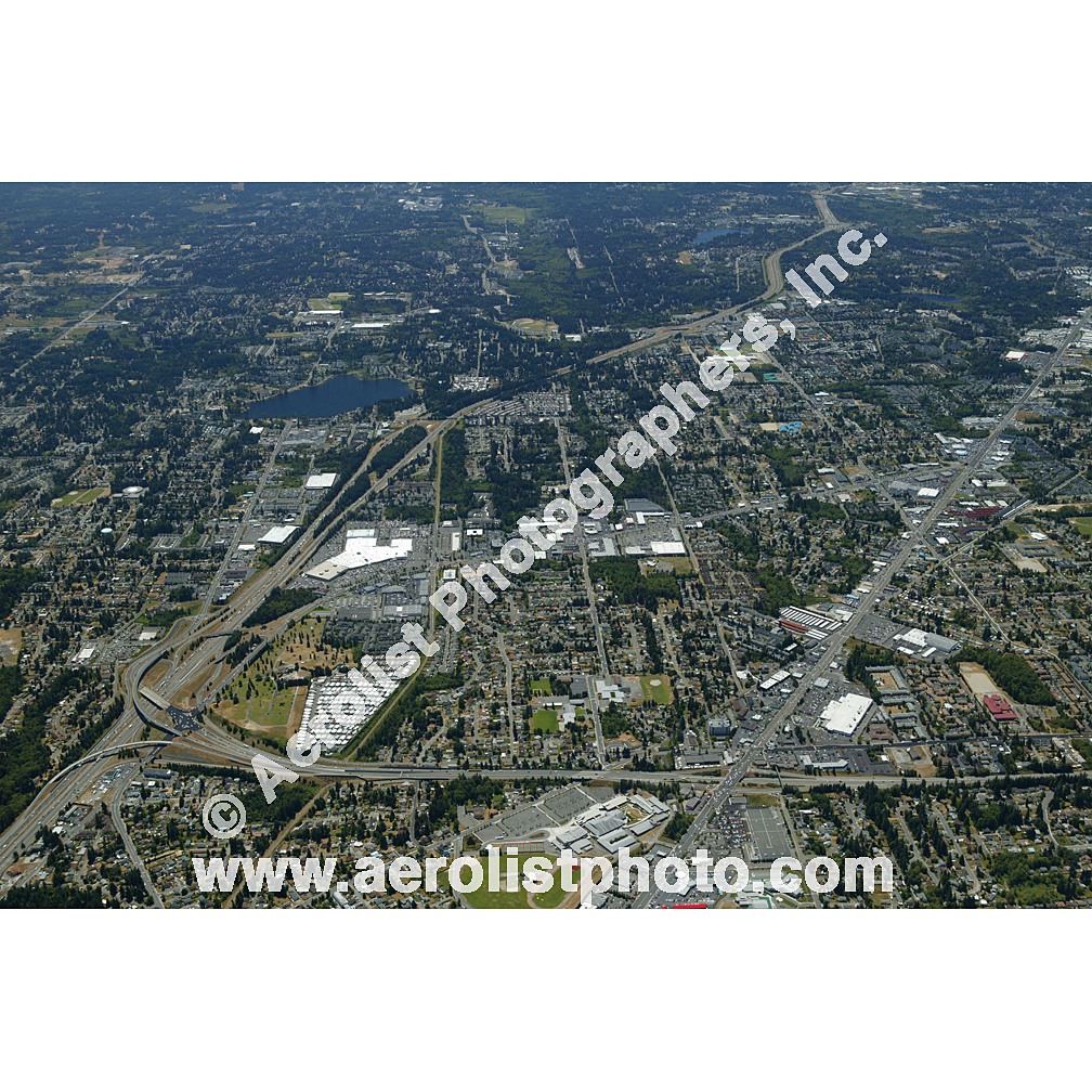 Everett Paine / Everett Mall 2003