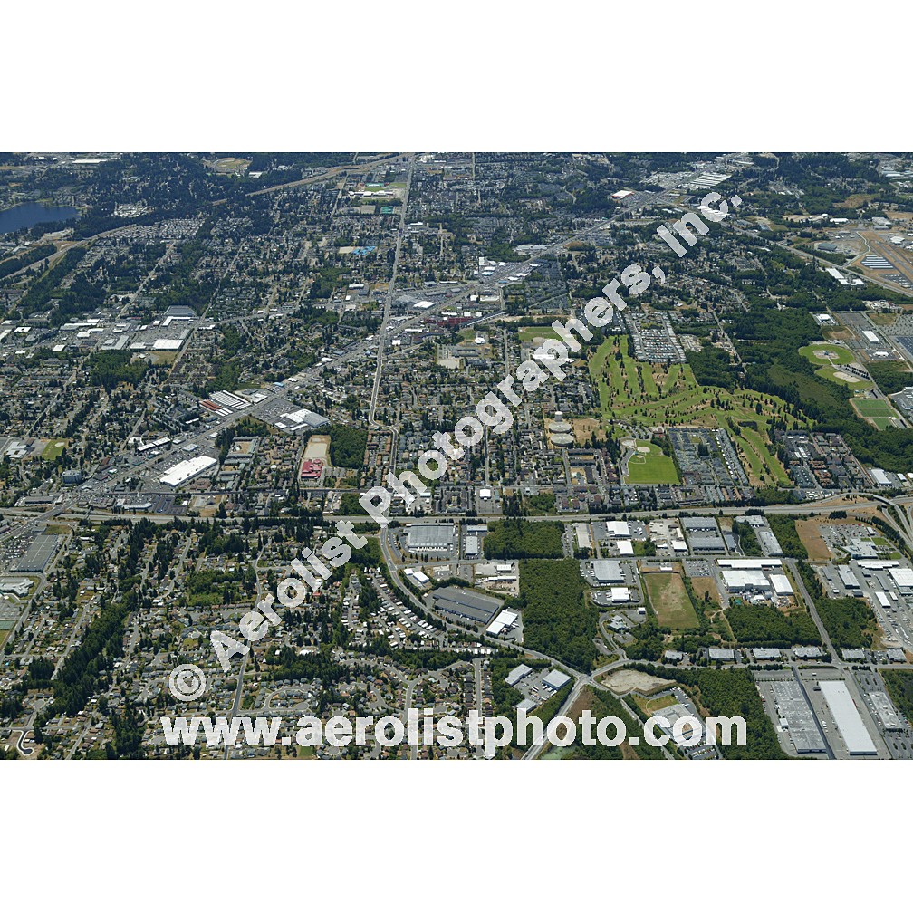 Everett Paine / Everett Mall 2003