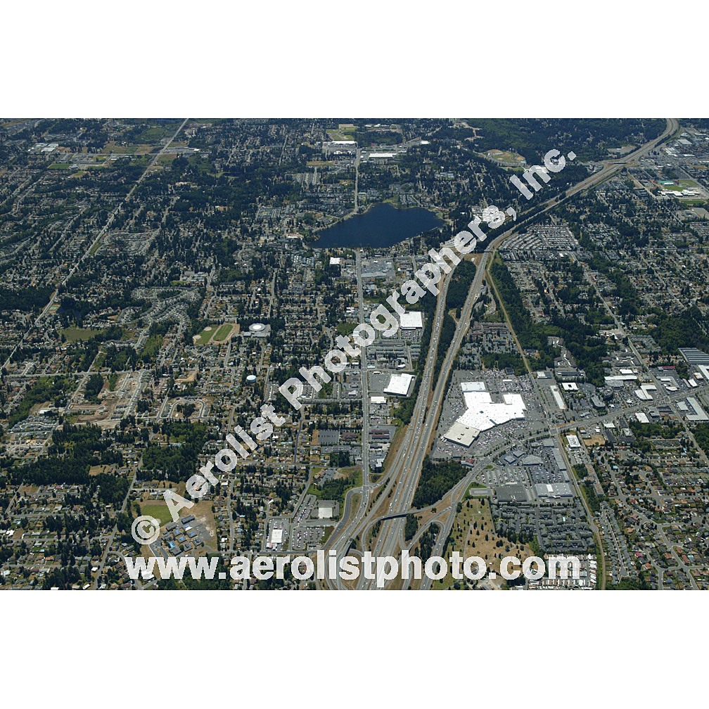 Everett Paine / Everett Mall 2003