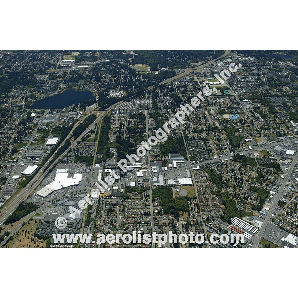 Everett Paine / Everett Mall 2003