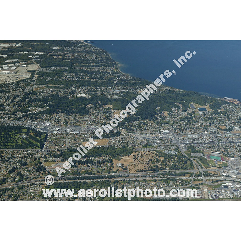 Everett Paine / Everett Mall 2003