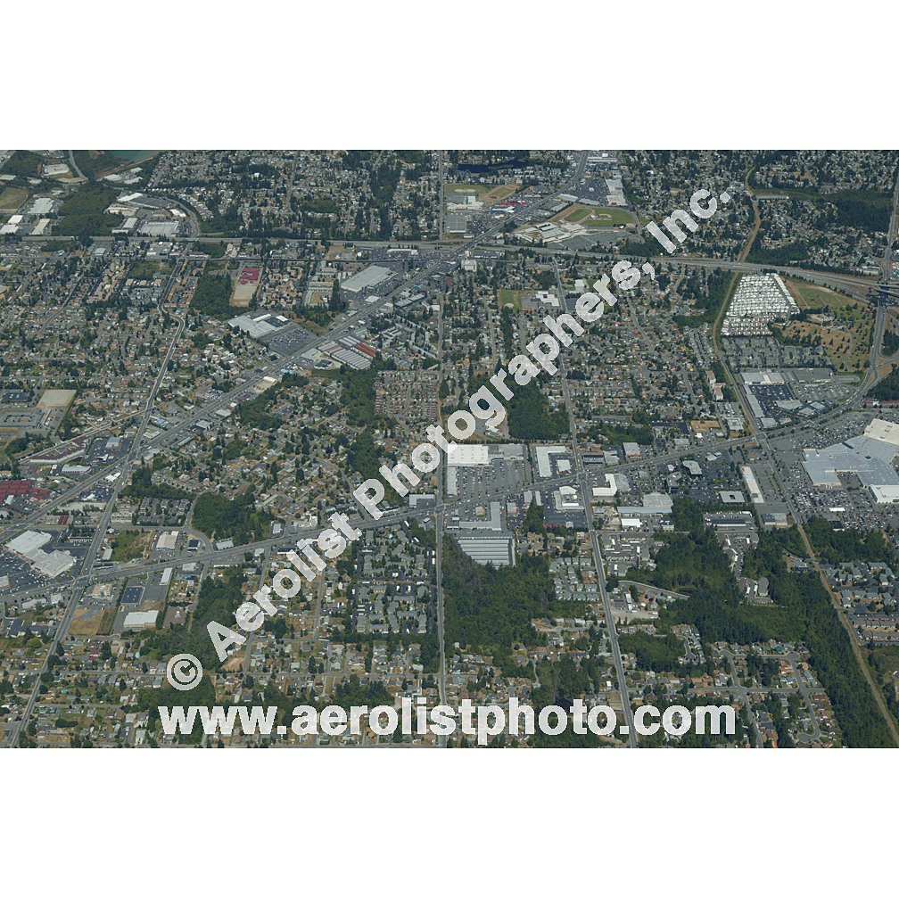 Everett Paine / Everett Mall 2003