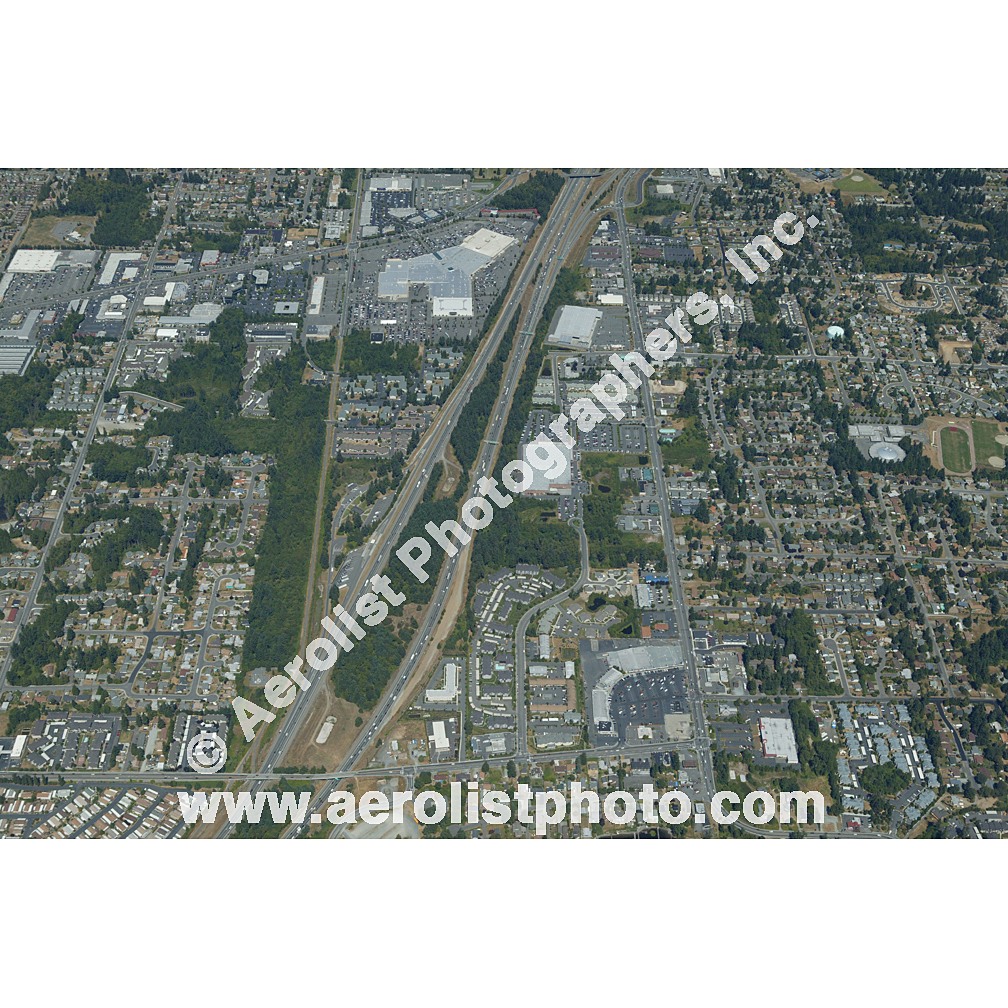 Everett Paine / Everett Mall 2003