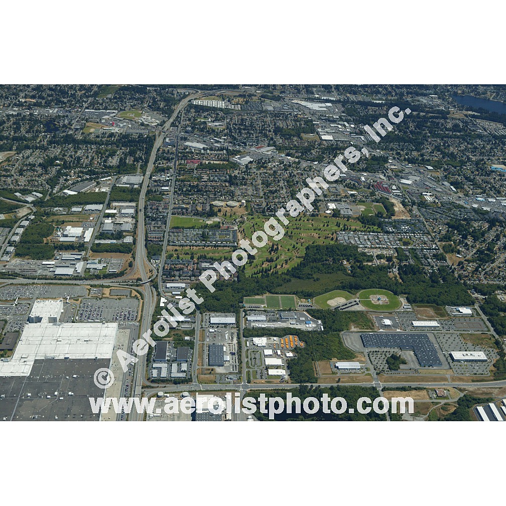 Everett Paine / Everett Mall 2003