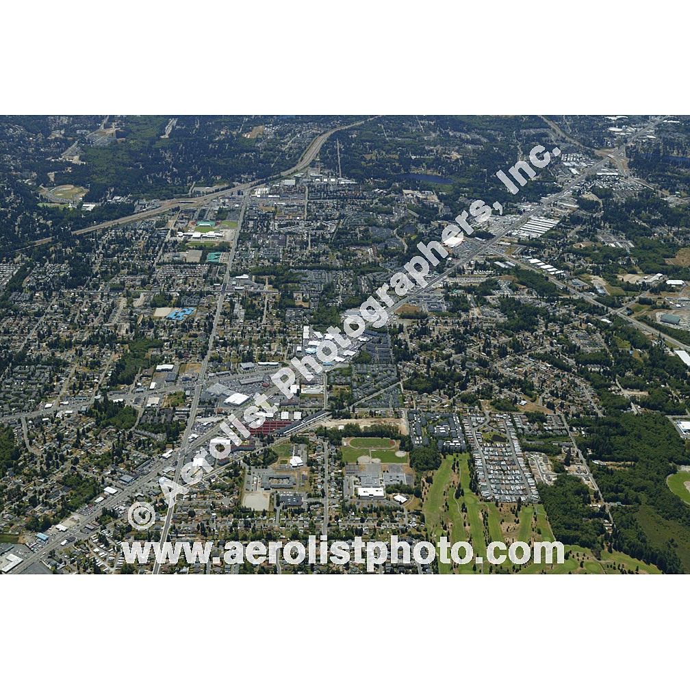 Everett Paine / Everett Mall 2003