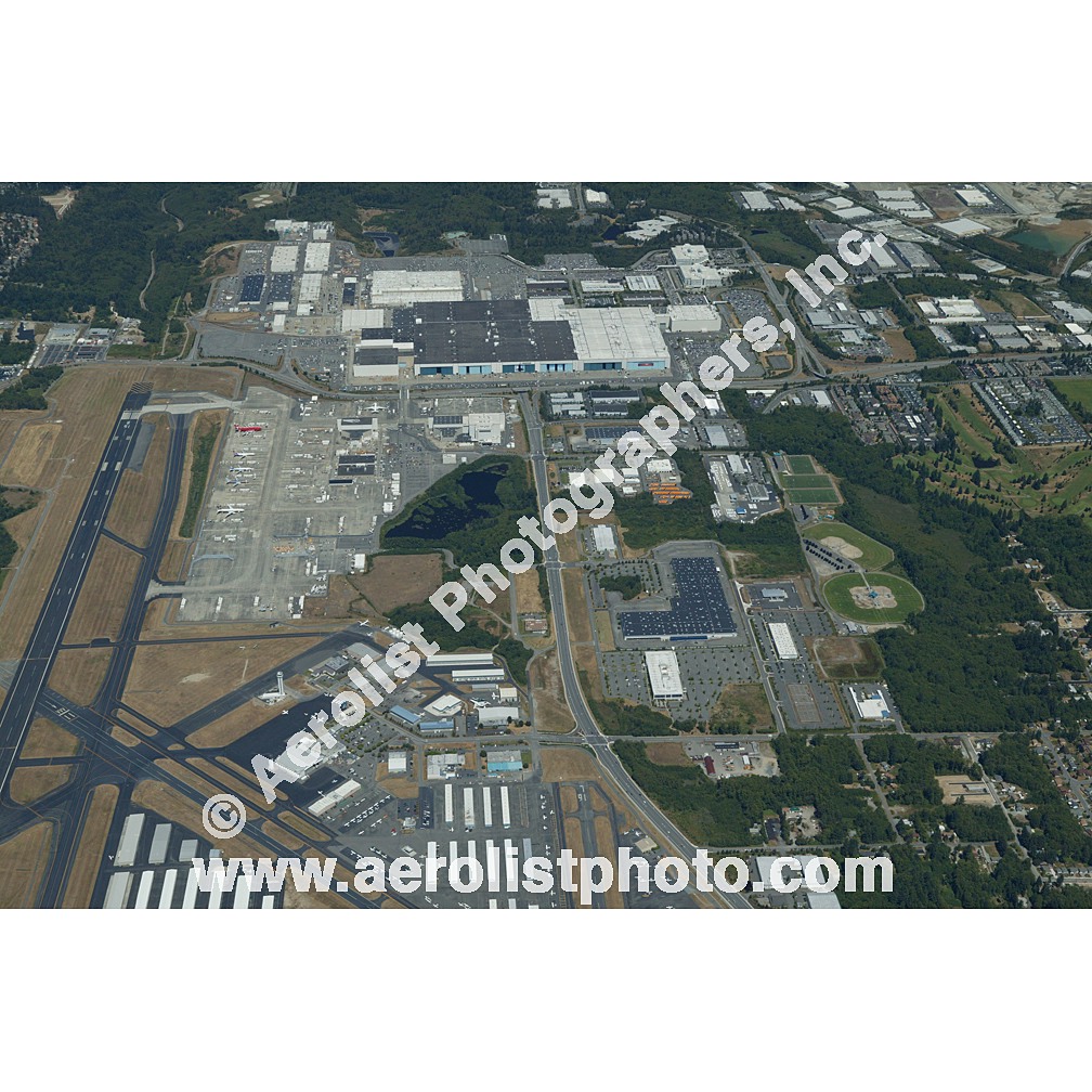 Everett Paine / Everett Mall 2003