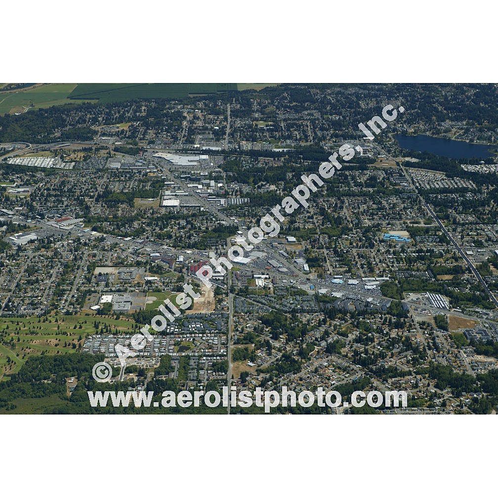 Everett Paine / Everett Mall 2003