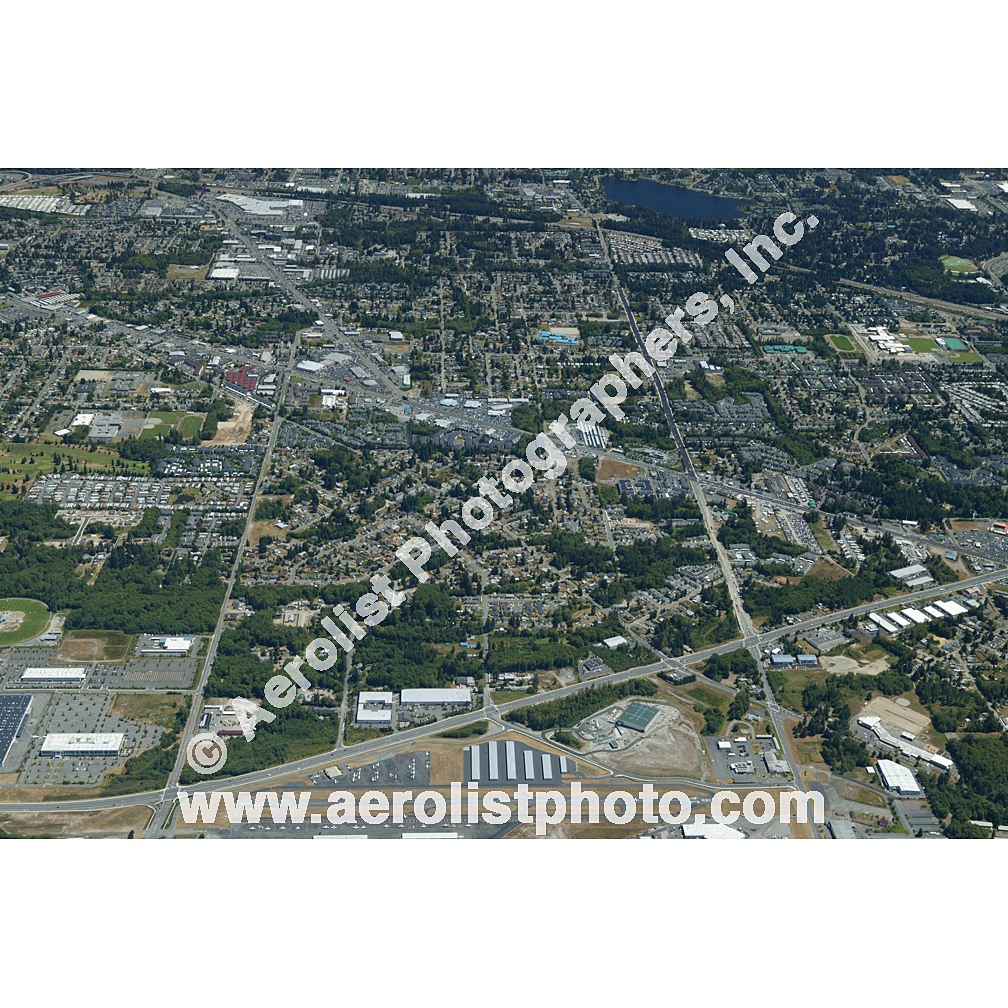 Everett Paine / Everett Mall 2003