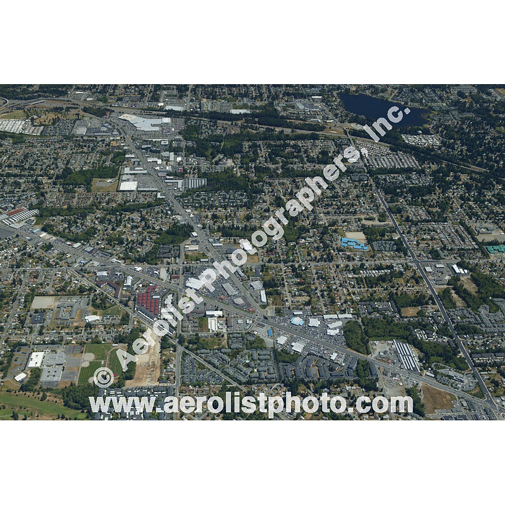 Everett Paine / Everett Mall 2003