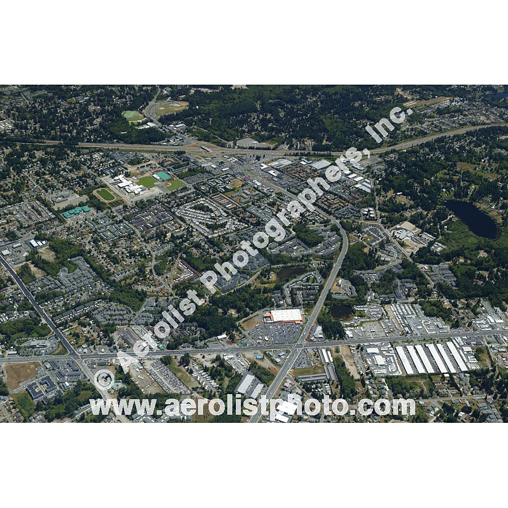 Everett Paine / Everett Mall 2003