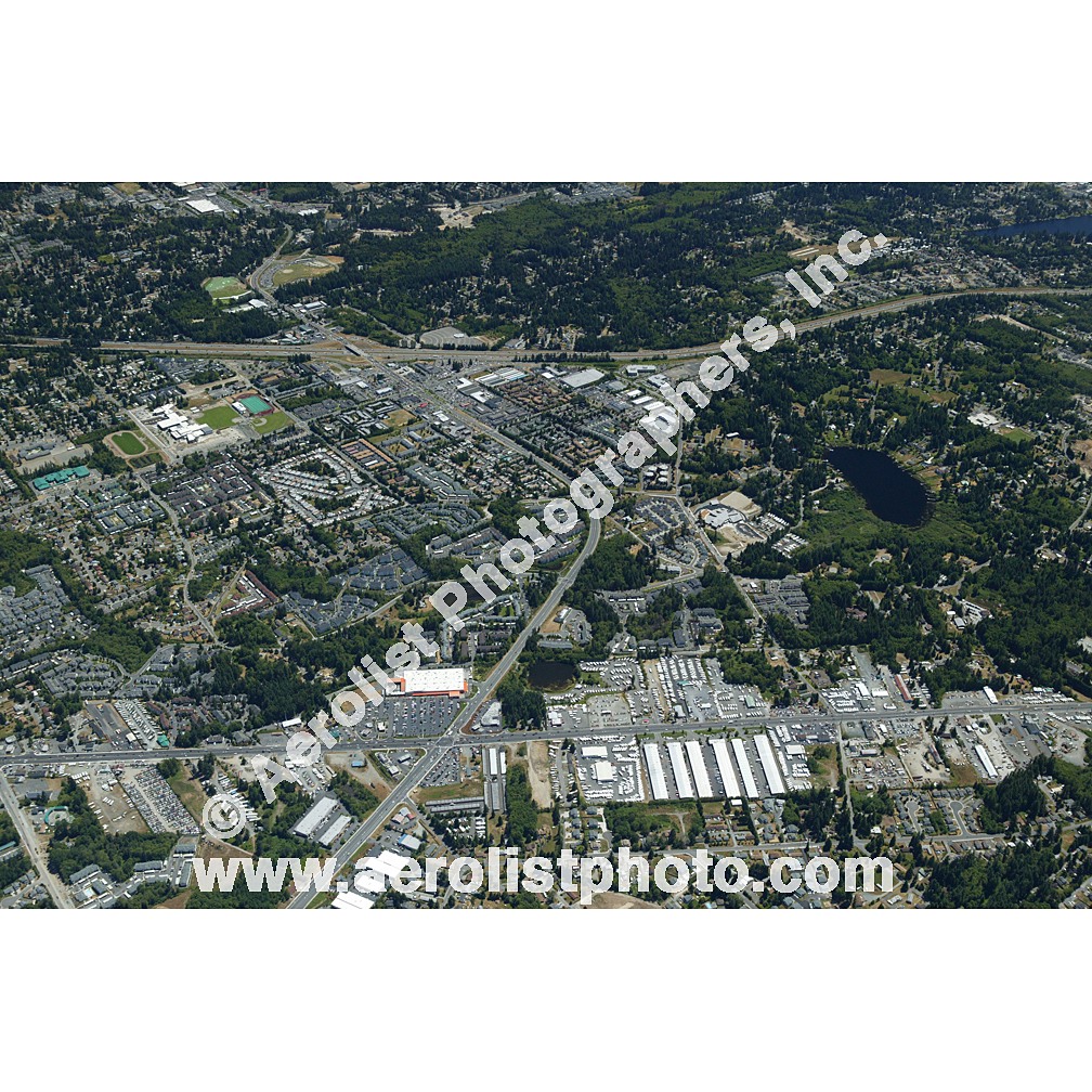 Everett Paine / Everett Mall 2003