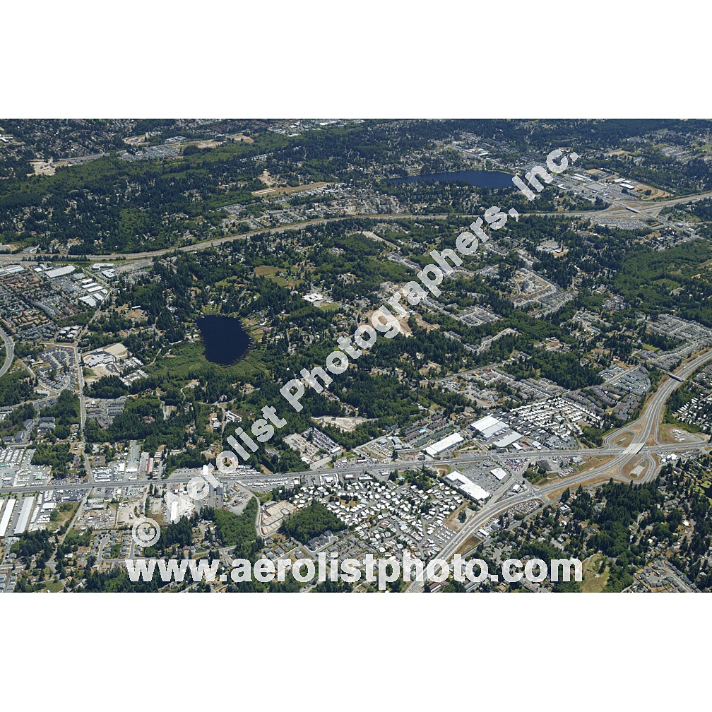 Everett Paine / Everett Mall 2003