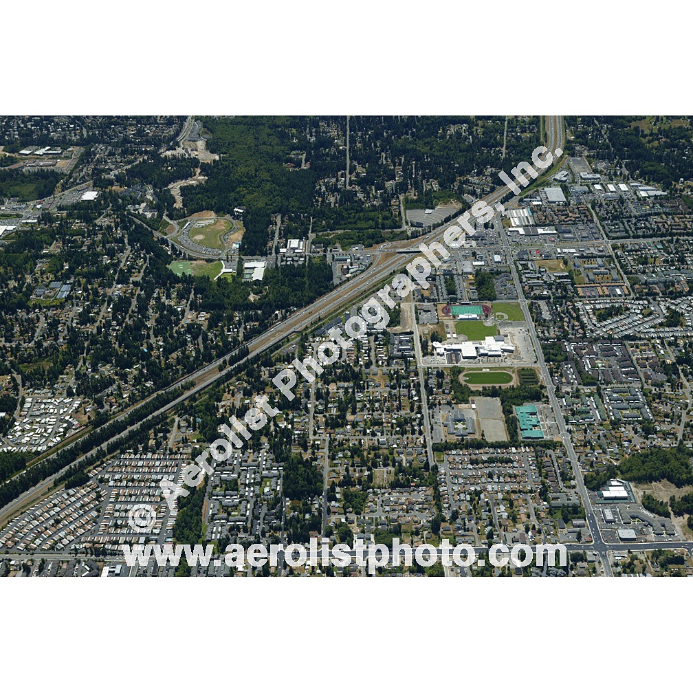 Everett Paine / Everett Mall 2003