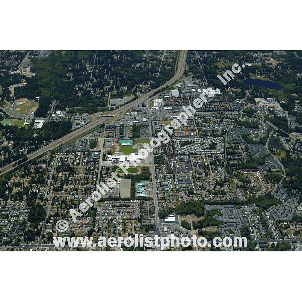 Everett Paine / Everett Mall 2003