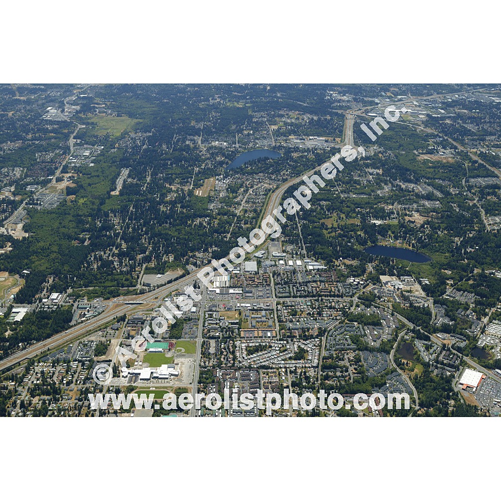 Everett Paine / Everett Mall 2003