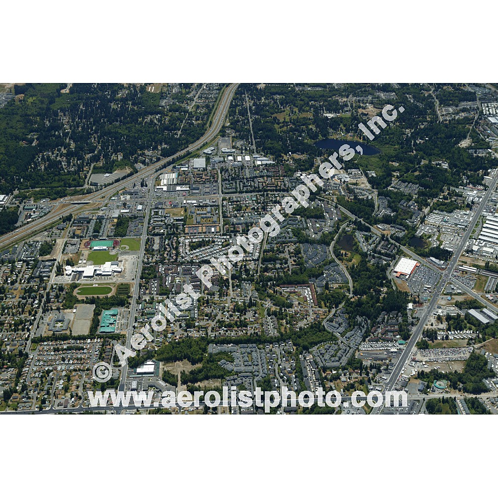 Everett Paine / Everett Mall 2003