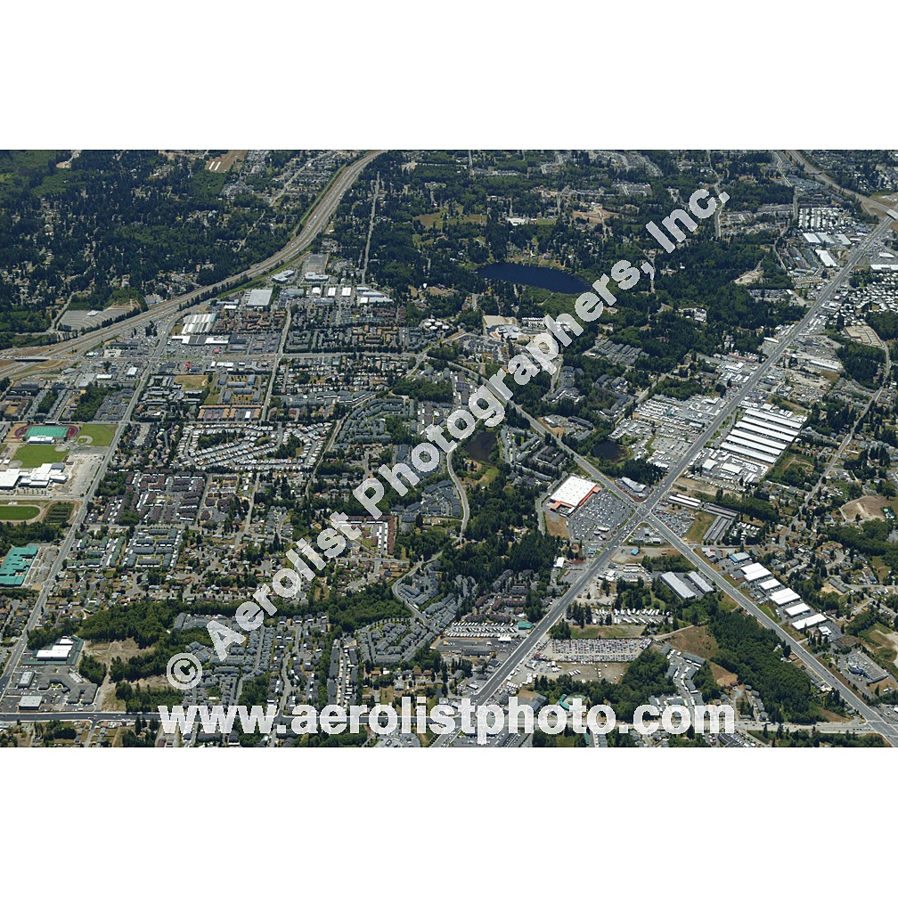 Everett Paine / Everett Mall 2003