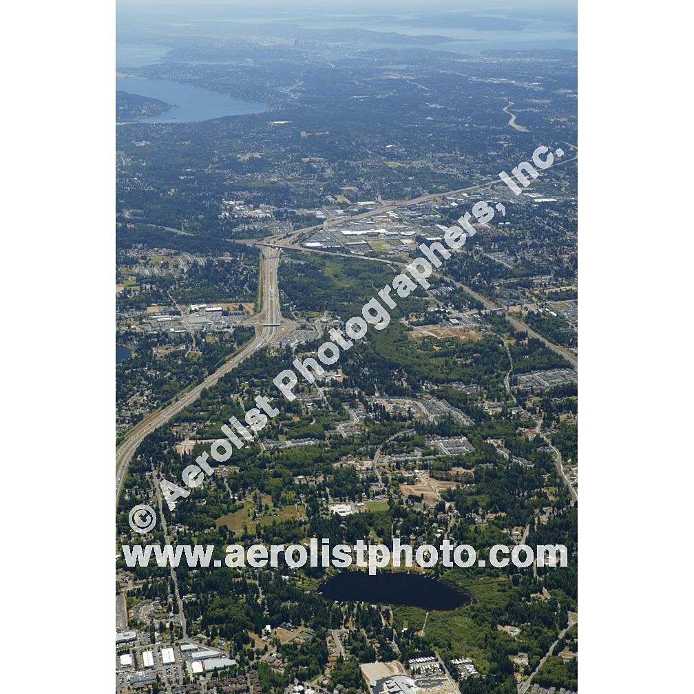 Everett Paine / Everett Mall 2003