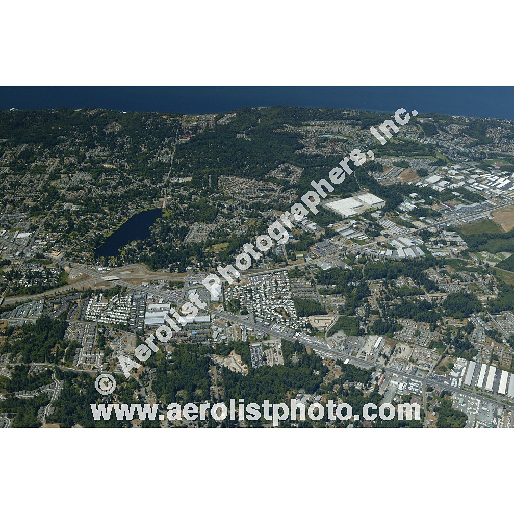 Everett Paine / Everett Mall 2003