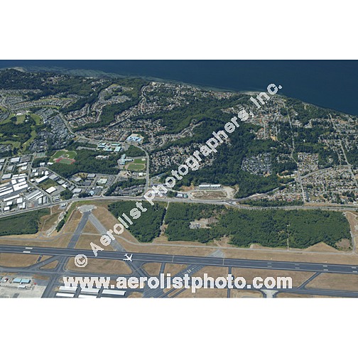 Everett Paine / Everett Mall 2003