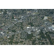 Everett Paine / Everett Mall 2003