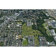 Everett Paine / Everett Mall 2003