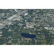 Everett Paine / Everett Mall 2003