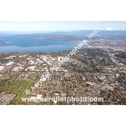 Everett - Paine / Everett Mall 2019