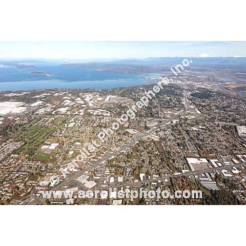 Everett - Paine / Everett Mall 2019