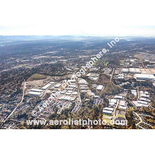 Everett - South / Seaway 2019