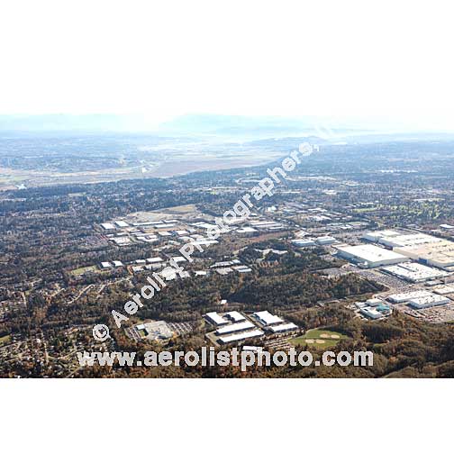 Everett - South / Seaway 2019