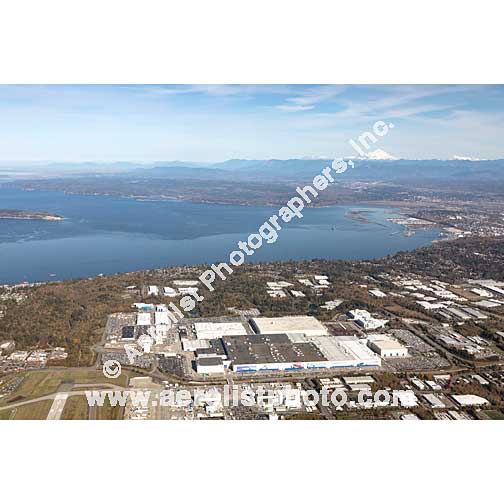 Everett - South / Seaway 2019