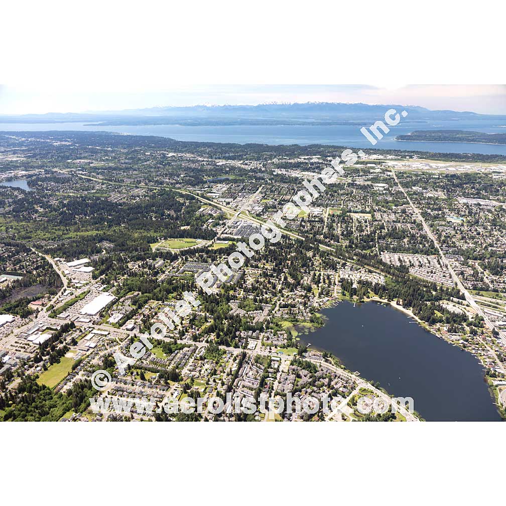 Everett - Silver Lake / South East 2020